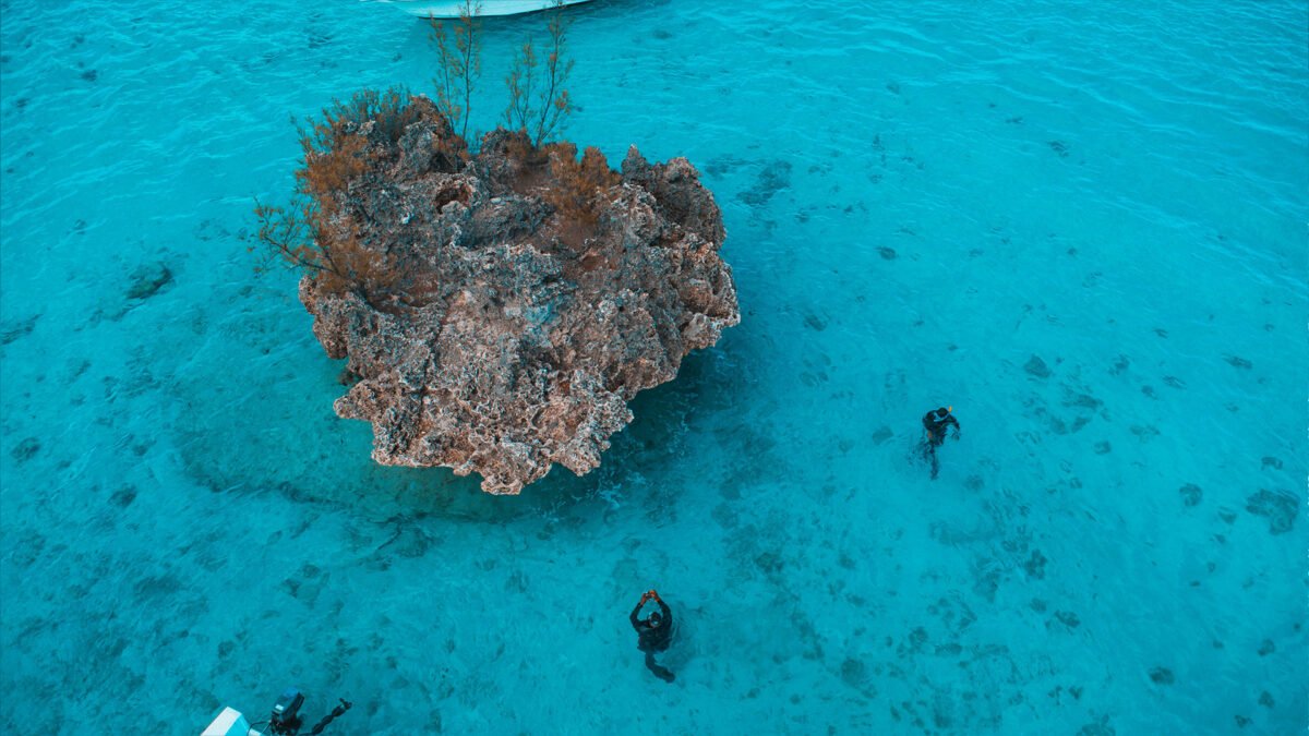 Crystal Rock: Conservation and Monitoring Initiative