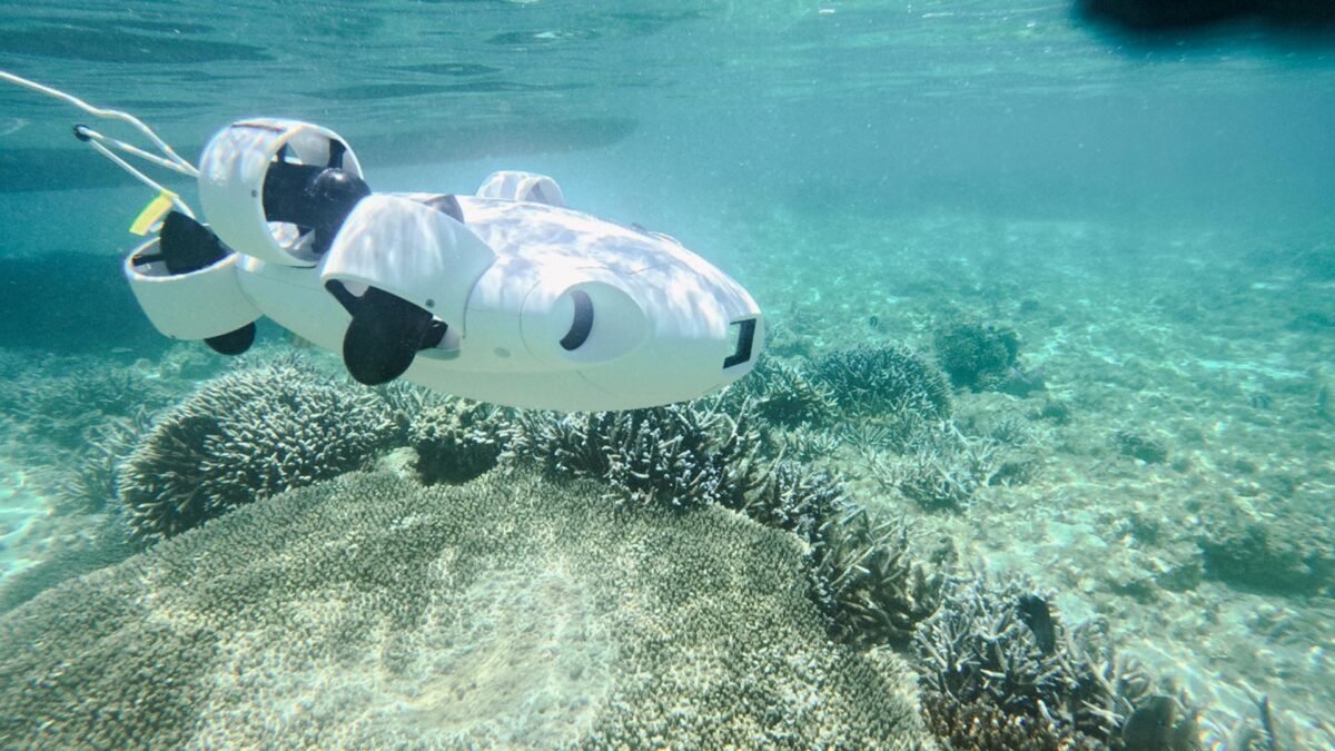 Marine Guardianship through Technology: ROV-Based COTS Surveillance Program in Mauritius