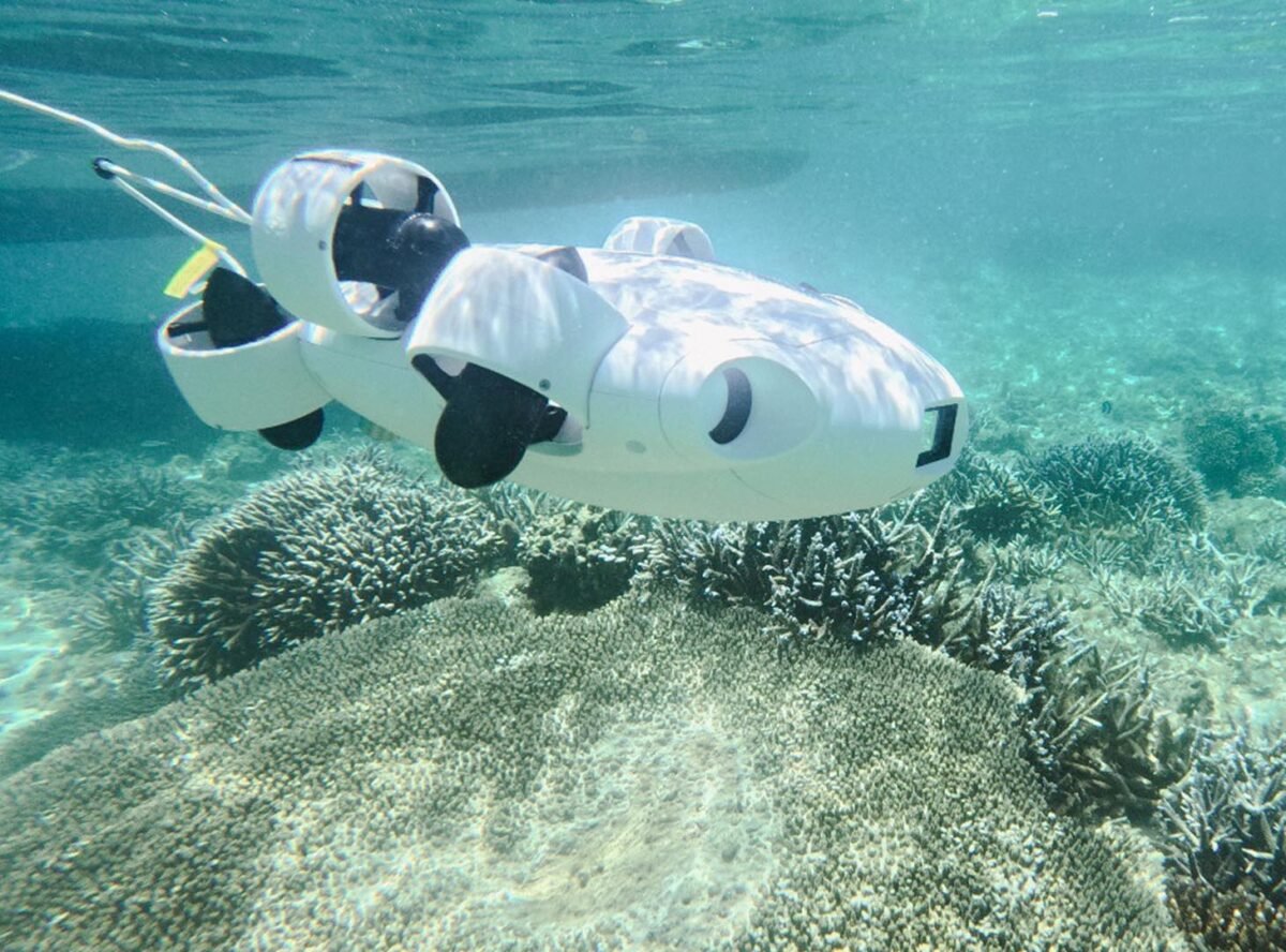 Marine Guardianship through Technology: ROV-Based COTS Surveillance Program in Mauritius